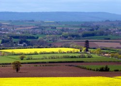 Stoke Sub Hamdon Wallpaper