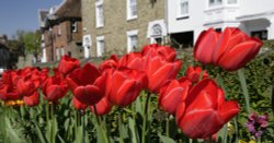 Church Reds Wallpaper