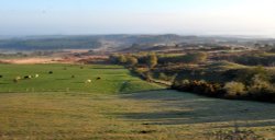 Studland Nature Reserve Wallpaper