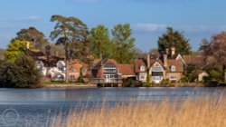 Where the slows. Wallpaper