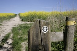 Rural Walk Kent Wallpaper