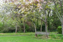 Dittisham car park and park Wallpaper