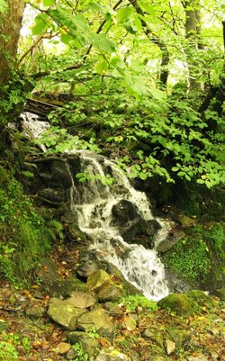 Sweden Bridge Lane 4-10-13