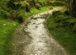 Sweden Bridge Lane 1 Wallpaper