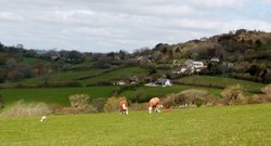 Morecombe Lake Wallpaper