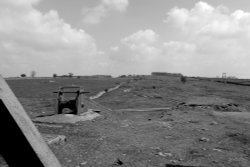 MAGPIE MINE Wallpaper