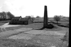 MAGPIE MINE Wallpaper