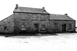 MAGPIE MINE Wallpaper