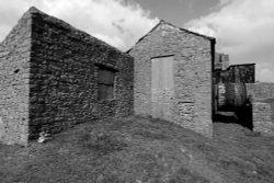 MAGPIE MINE Wallpaper