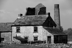 MAGPIE MINE Wallpaper