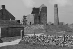 MAGPIE MINE Wallpaper