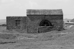 MAGPIE MINE Wallpaper