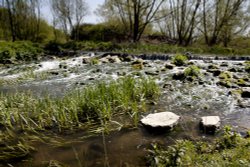 River at Biss Meadows Country Park Wallpaper