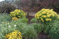 Late spring floral at Hunstanton. Wallpaper