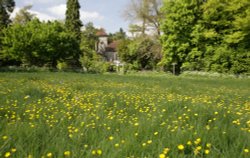 Church Meadows