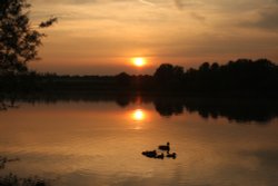 Ferry Meadows Country Park Wallpaper
