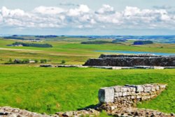 Roman Territory Wallpaper