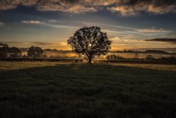 Market Bosworth Wallpaper