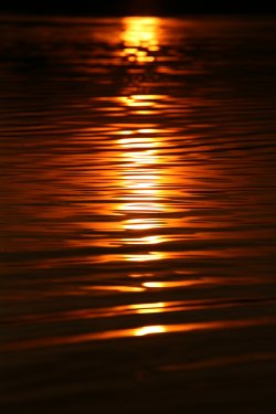 Ferry Meadows Country Park