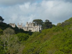 Time For Tea. Wallpaper