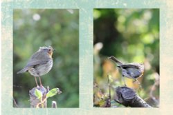 HIYA EVERYBODY, I'M SCRUFFY-BORIN !!