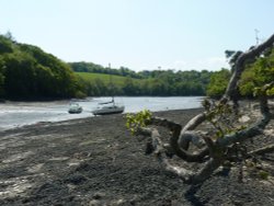 Up The Creek- No Paddle Required ! Wallpaper