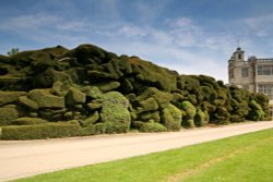 Audley End Wallpaper