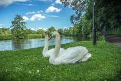 Burton upon Trent Wallpaper