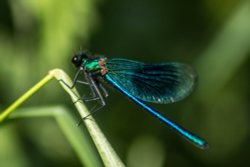 Burton upon Trent Wallpaper