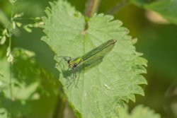 Burton upon Trent Wallpaper
