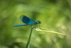 Burton upon Trent Wallpaper