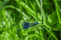 Burton upon Trent Wallpaper