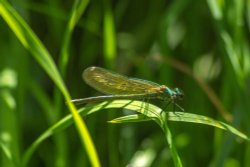 Burton upon Trent Wallpaper