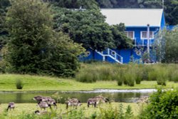 Burton upon Trent Wallpaper