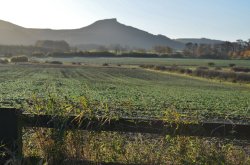 Roseberry Topping Great Ayton Wallpaper