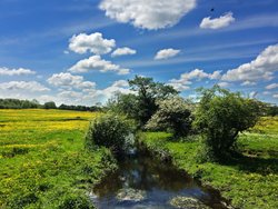 River Blythe near Malvern Park,Solihull Wallpaper