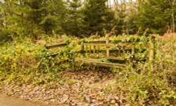 'Seen better days!!' Wallpaper