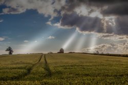 Atherstone Wallpaper