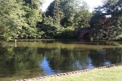 A quiet lake at Cannon Hill Park, Birmingham Wallpaper