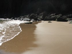 Shrinkle Haven Wallpaper