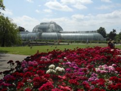 Palm House, Kew Gardens Wallpaper
