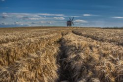 Chesterton Windmill Wallpaper