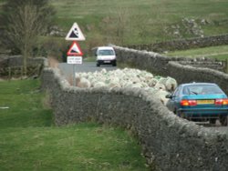 Rush hour in the peak Wallpaper