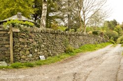 The Struggle this way!! Wallpaper