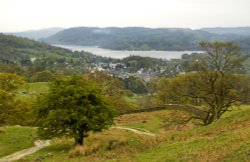 Windermere from High Coppice Wallpaper