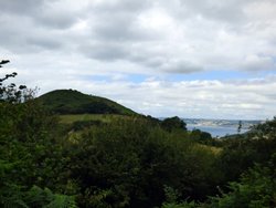 Golden cap Wallpaper