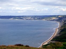 Golden cap Wallpaper