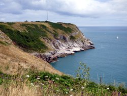 Berry Head Wallpaper