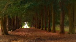 The lovers, Ickworth park, Bury St Edmunds Wallpaper