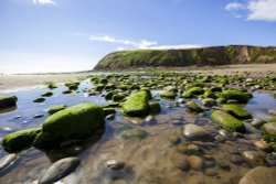 St Bees Head from the Rockpools Wallpaper